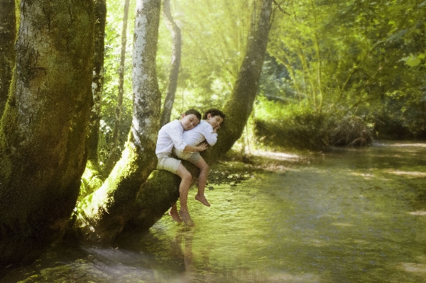 Hand water forest people Photo