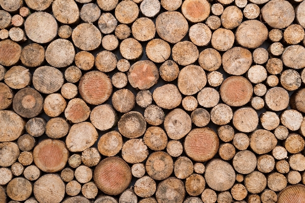 Nature wood texture floor Photo