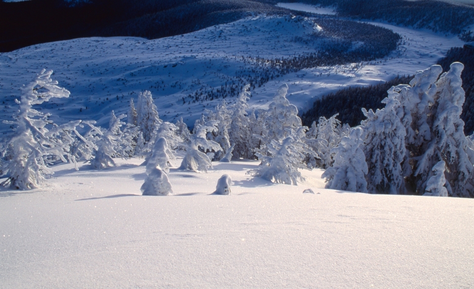 Landscape nature mountain snow