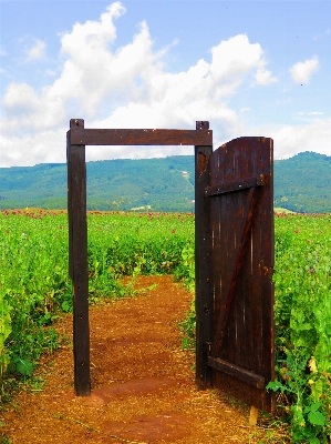 Nature open fence wood Photo