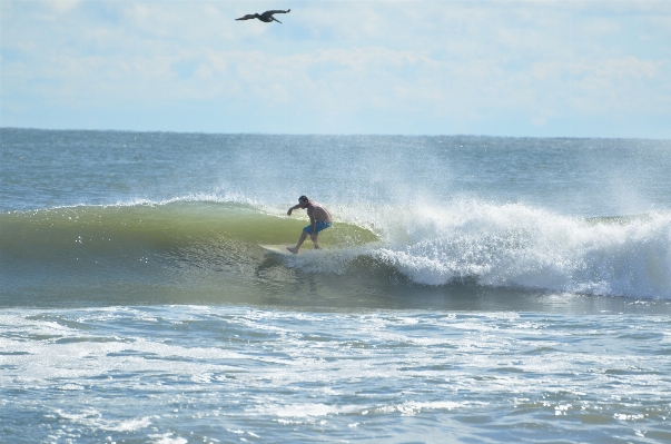 Man beach sea water Photo