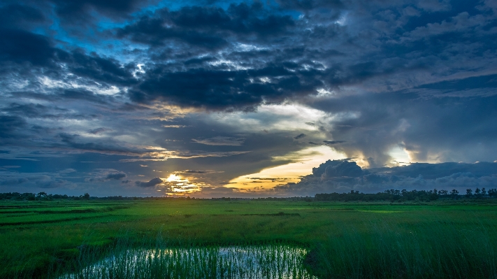 Landscape tree water nature Photo