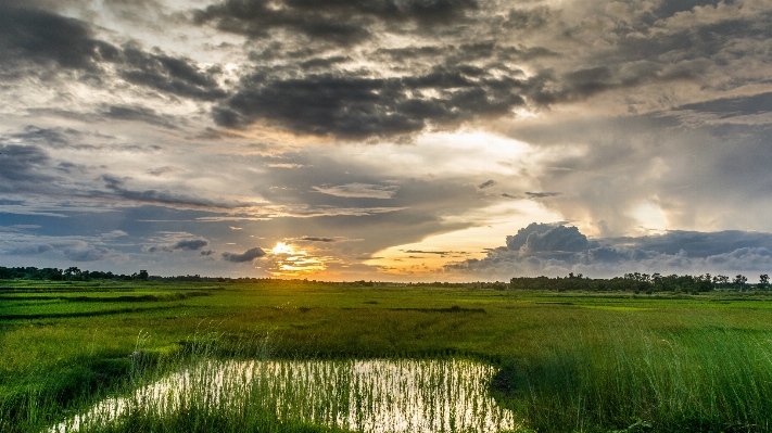 Landscape tree water nature Photo