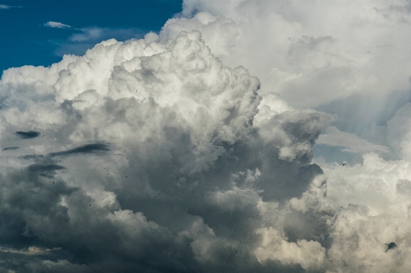 Foto Alam cakrawala awan langit