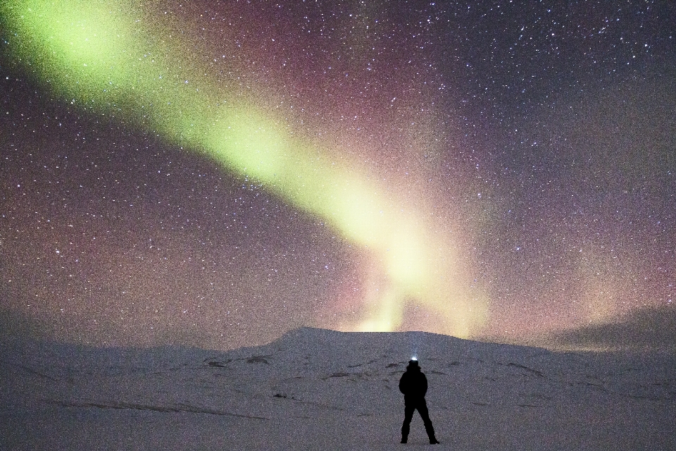 Nature snow night adventure