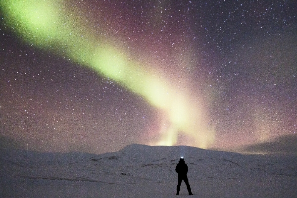 Nature snow night adventure Photo