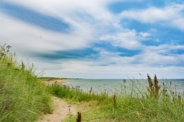 Beach landscape sea coast Photo