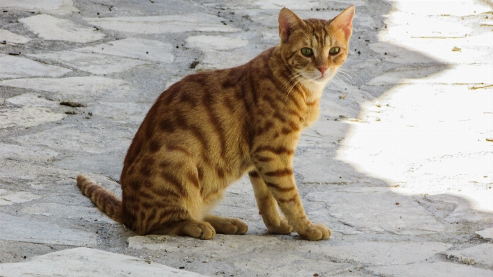 Outdoor cute summer red Photo