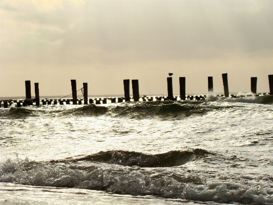 Beach sea coast water Photo