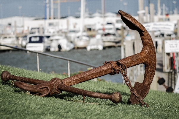 Sea coast water wood Photo