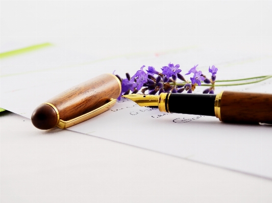 Writing nature pencil flower Photo