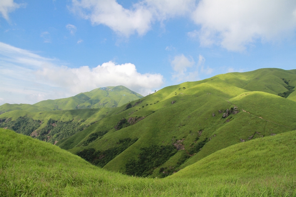 Paesaggio natura erba montagna