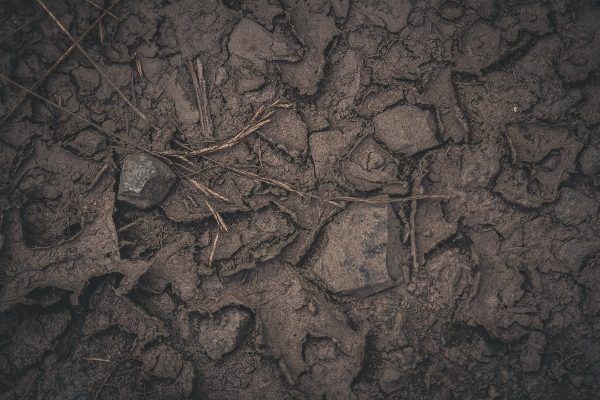 Nature rock ground texture Photo