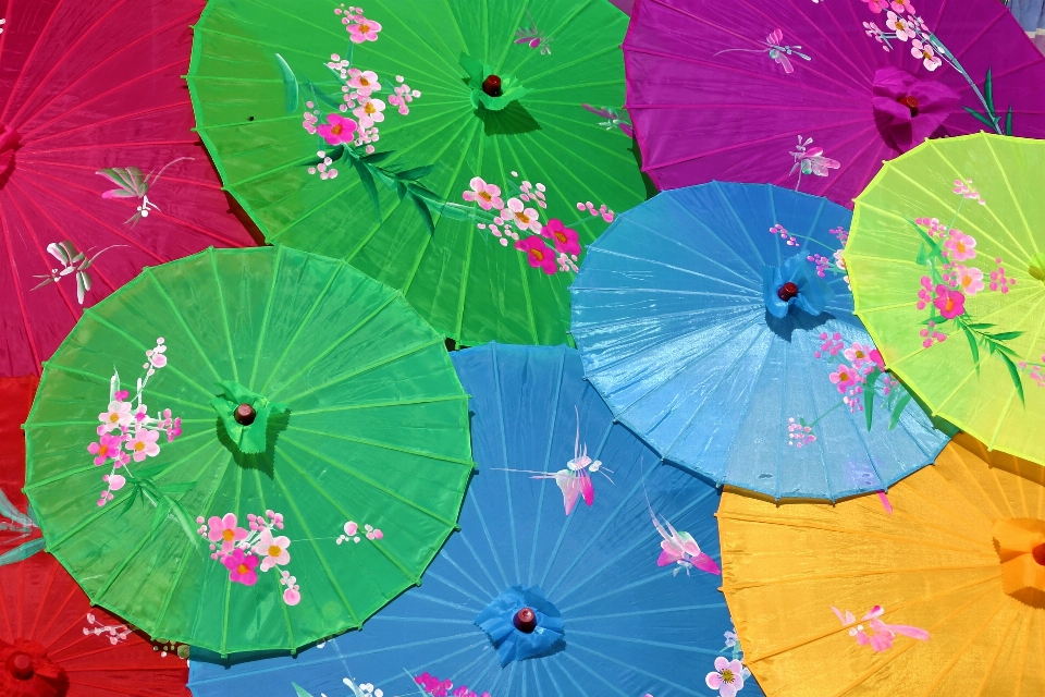 Wheel flower petal umbrella