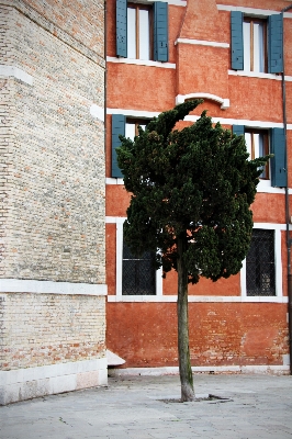 Tree architecture wood road Photo