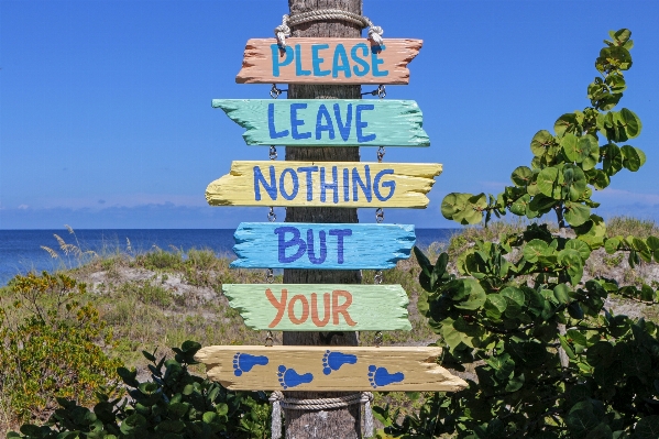 Beach sand wood vacation Photo