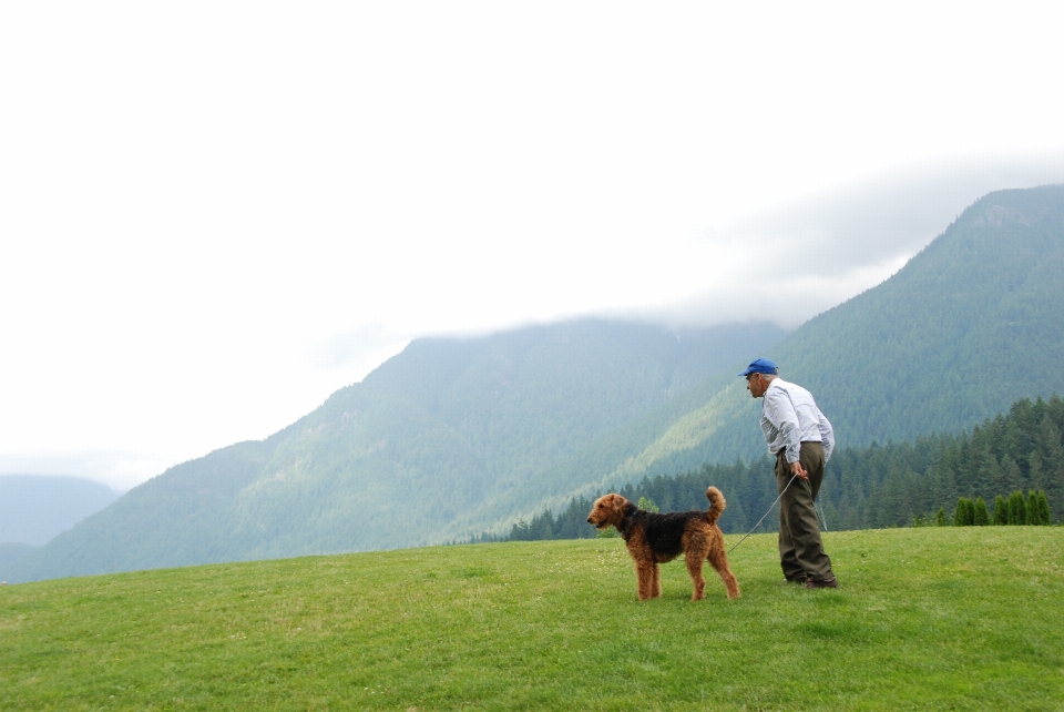 Mann landschaft natur gehen