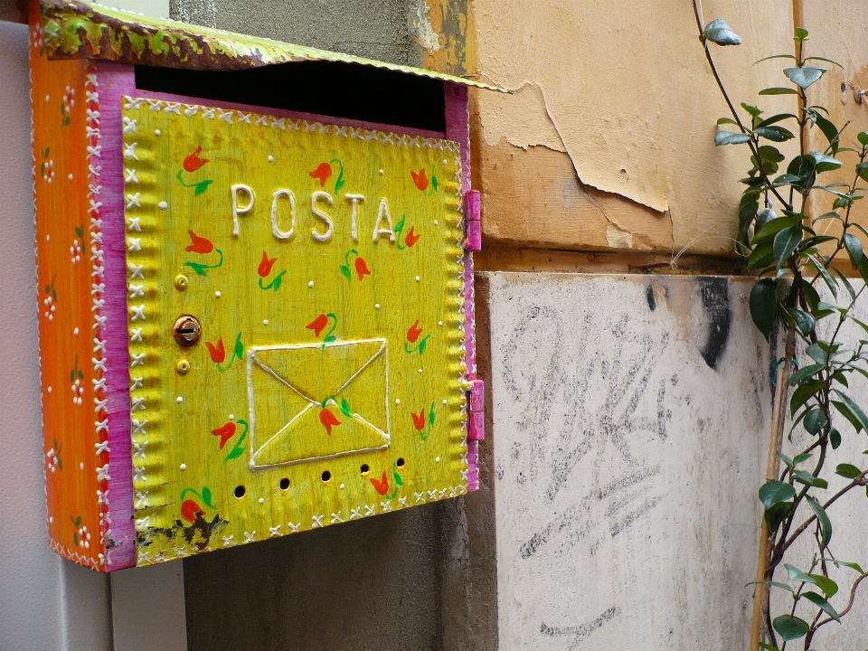 Poste
 fleur mur vert