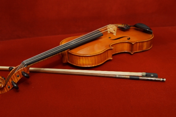 Foto Chitarra strumento musicale a corda
 violino