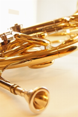 Music horn metal musical instrument Photo