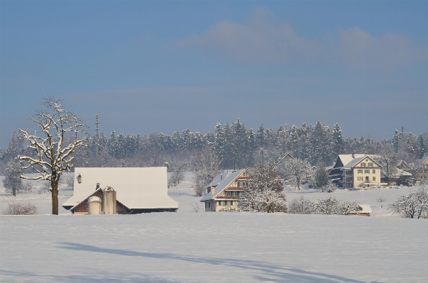 Landscape nature snow cold Photo