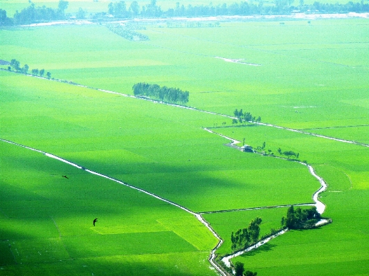 Landscape nature grass horizon Photo