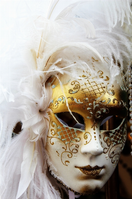 Carnival venice clothing headgear