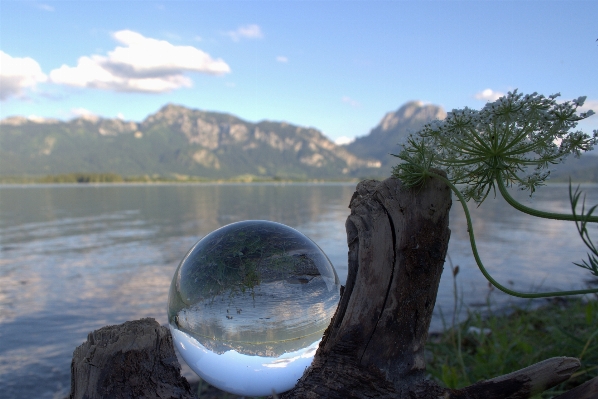 風景 海 木 水 写真