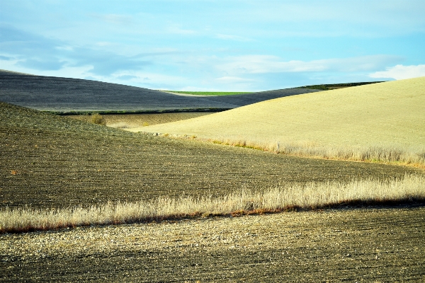 Landscape sea nature grass Photo