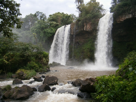 Water forest waterfall jungle Photo