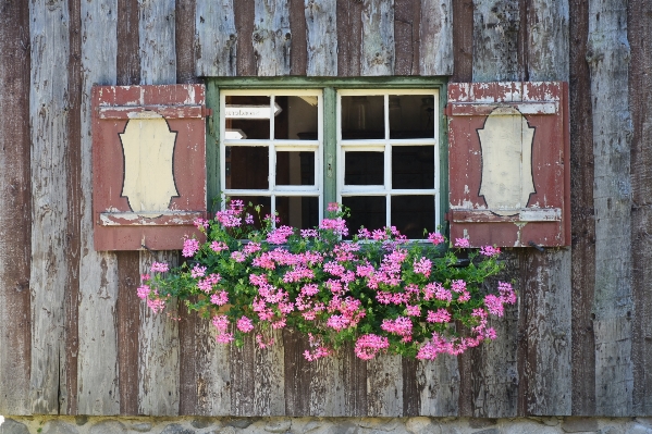 Architecture wood house flower Photo