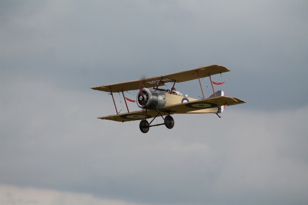 Wing old fly airplane Photo