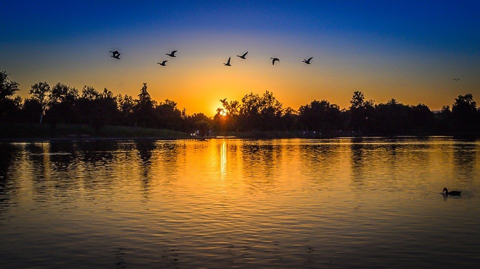 Agua naturaleza sol amanecer