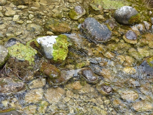 水 自然 rock 池 写真