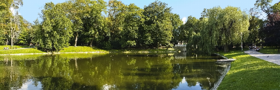 Landschaft baum wasser natur