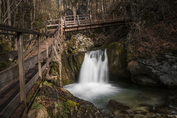 Foto Paesaggio acqua natura foresta