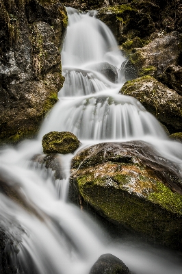 Landscape water nature forest Photo