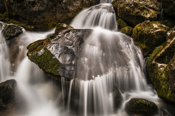 Landscape water nature forest Photo