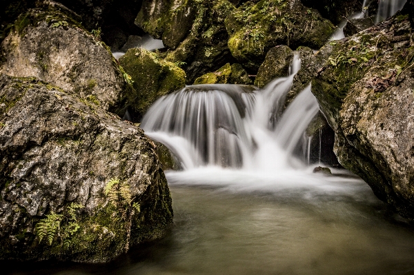 Landscape tree water nature Photo