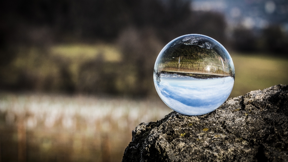 Landschaft wasser natur gras