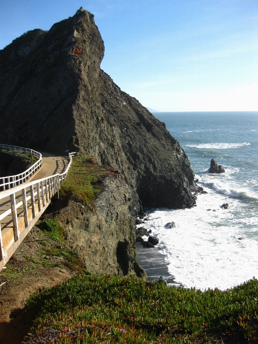 ビーチ 海 海岸 水