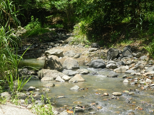 Landscape tree water nature Photo