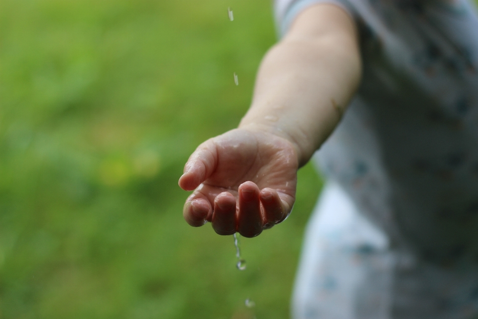 Mano agua naturaleza césped