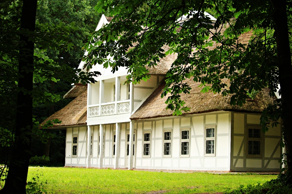 Arbre pelouse prairie
 manoir
