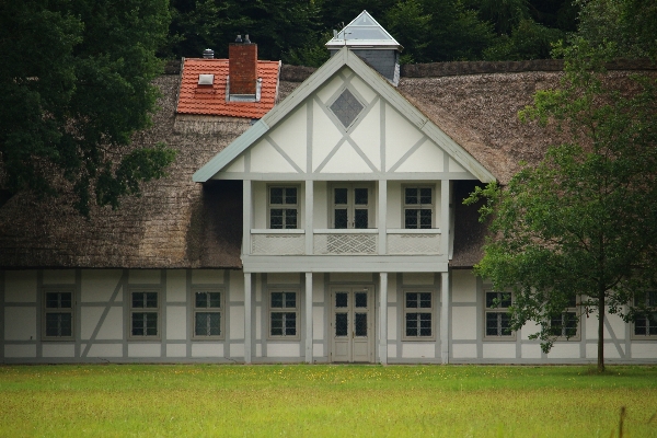 Lawn meadow mansion house Photo