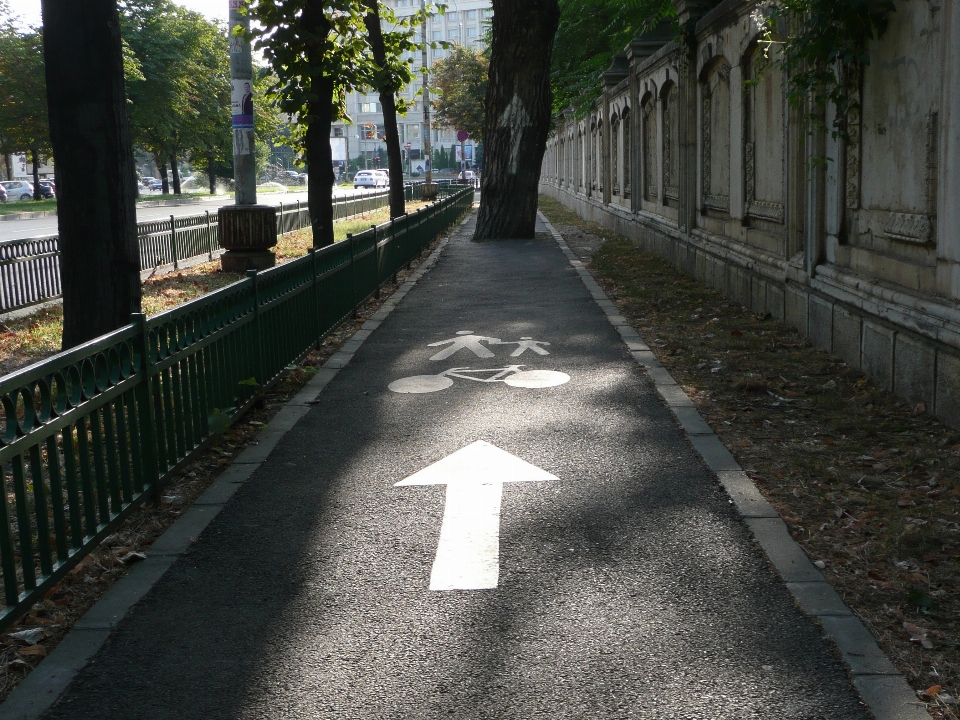 歩行者 道 街 歩道
