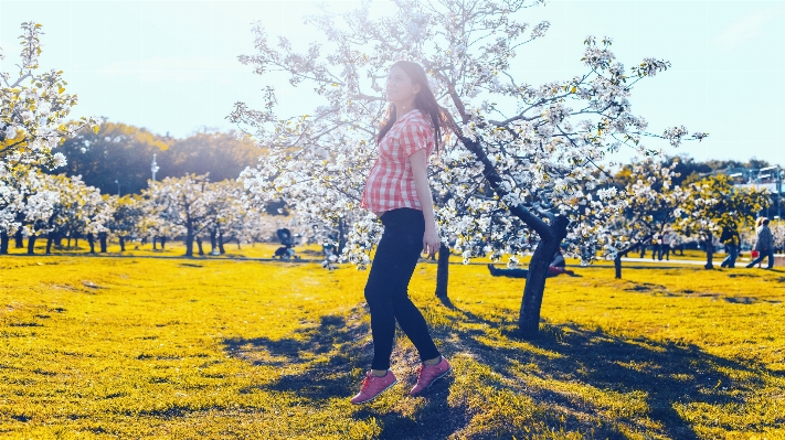 Tree plant girl woman Photo