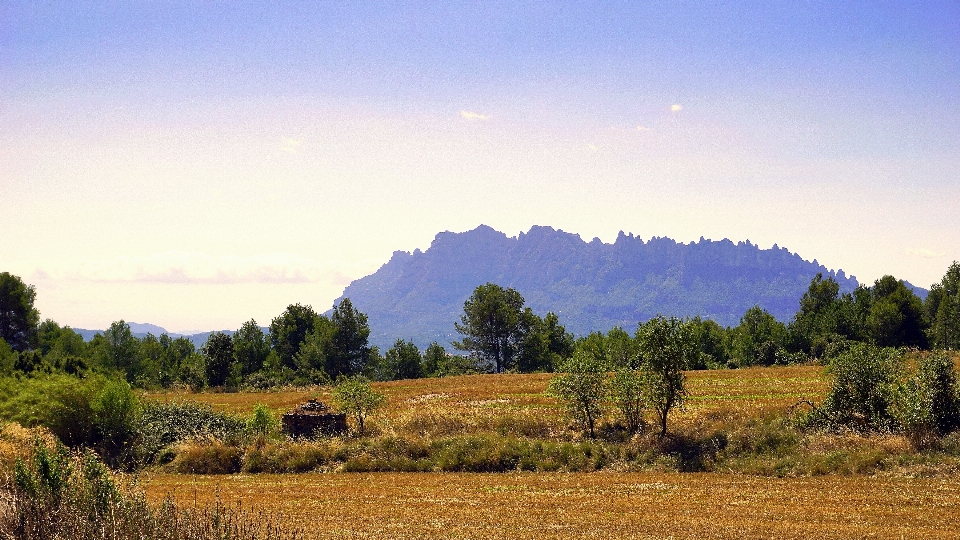 Landschaft baum natur wildnis
