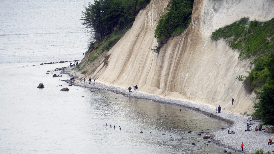 海滩 海 海岸 水