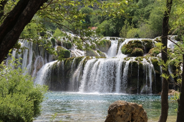 Фото пейзаж вода природа лес